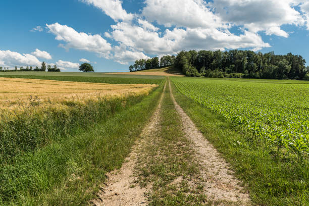 Rural area with country lane and cultivated fields in Switzerland