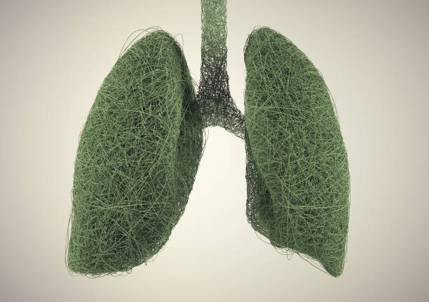 istock Lungs made of green wires. Complexity and organic growth concept. 1463655814