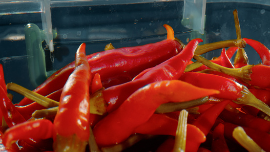 A lot of red hot chili peppers in a glass bowl - close up