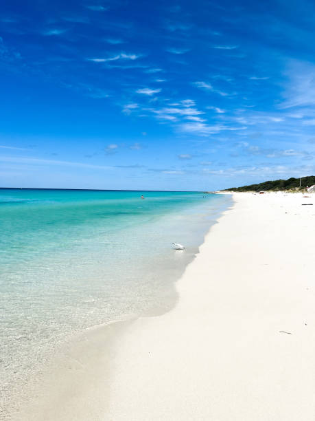 istock White sand beach in Western Australia 1463660686