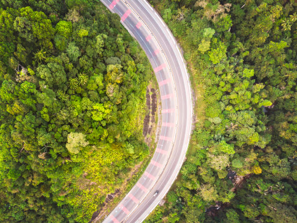 istock road and forest aerial view 1463662142