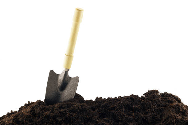 istock shovel and soil isolated on white background 1463663704