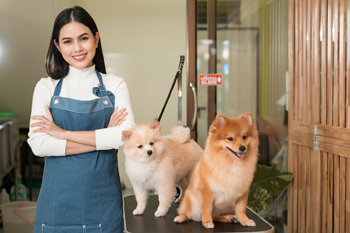 A Portrait of Female professional groomer at pet spa grooming salon