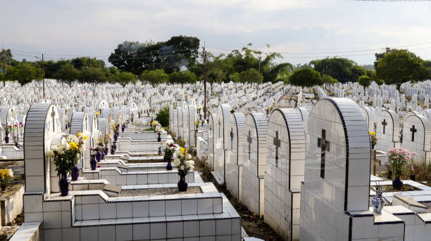 istock The public cemetery contains identical white ceramic graves with flowers. 1463669047