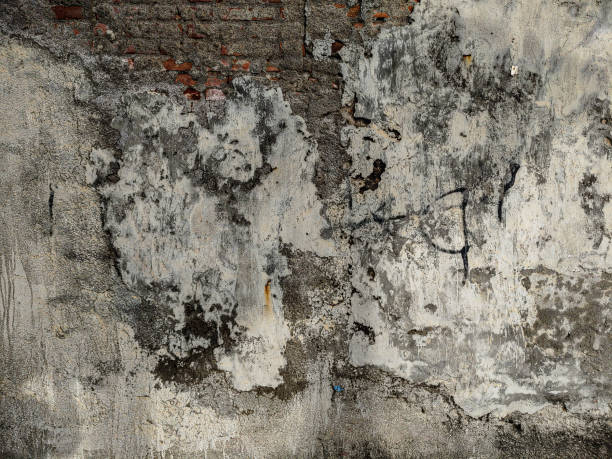 istock Texture of old gray concrete wall for background 1463669723