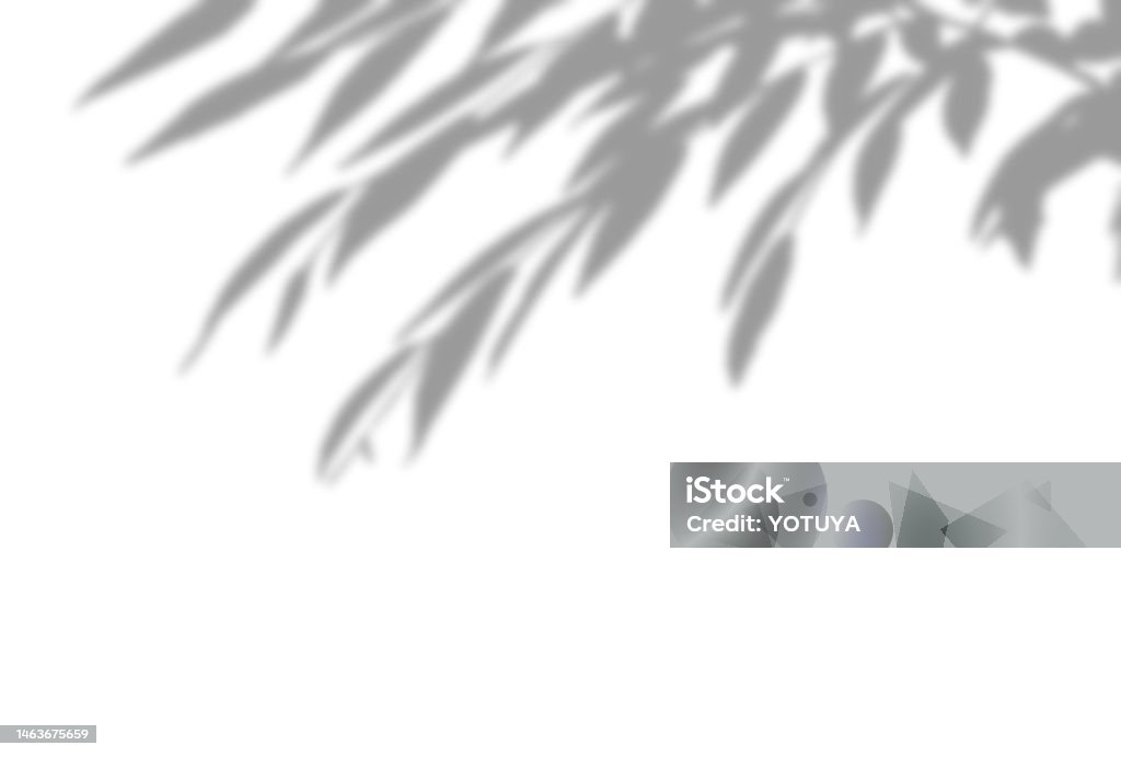 Tree Shadow Background Sharp Beautiful Tree Shadow Background Illustration Stock Illustration ...
