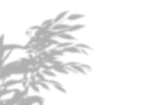 Beautiful Tree Shadow Background Illustration Stock Illustration ...