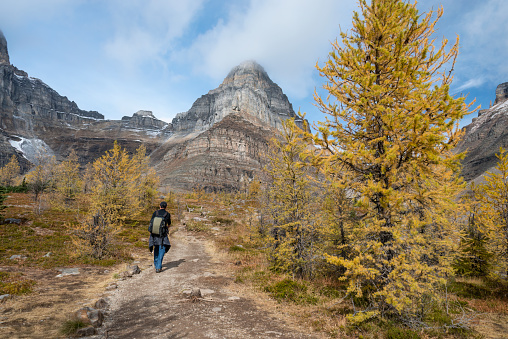 Hiking the Valley of Ten Peaks track in autumn, Banff national Park. Canadian Rockies.
