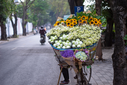 In Hanoi - Vietnam, there are still bicycles carrying flowers to sell on the streets every day