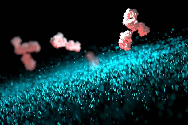 активные антитела, которые защищают наш организм - immune defence фотографии стоковые фото и изображения