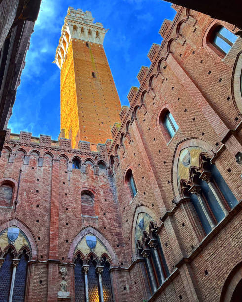 siena , torre del mangia, piazza del campo - palazzo pubblico zdjęcia i obrazy z banku zdjęć