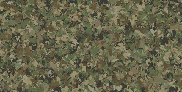 ilustraciones, imágenes clip art, dibujos animados e iconos de stock de textura camuflaje militar, caza verde ejército - pattern hide beige textured