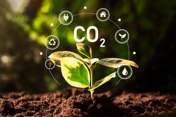 istock Carbon dioxide emissions, carbon footprint concept 1463684658