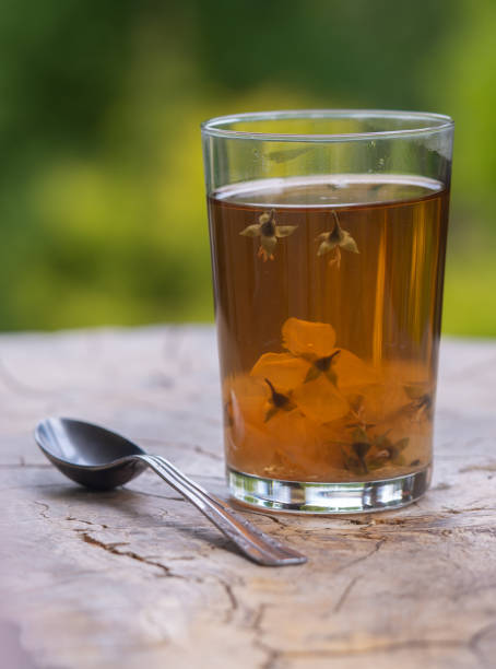 thé au jasmin sur bois dans le jardin - tea green tea jasmine chinese tea photos et images de collection