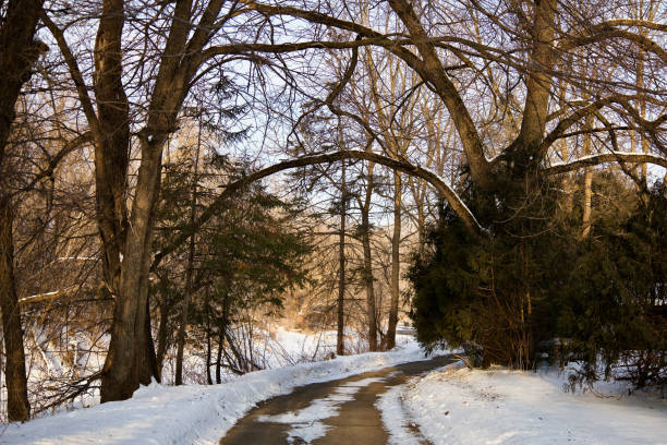 Winter landscape at sunrise. Frozen trees and road in a foggy morning.