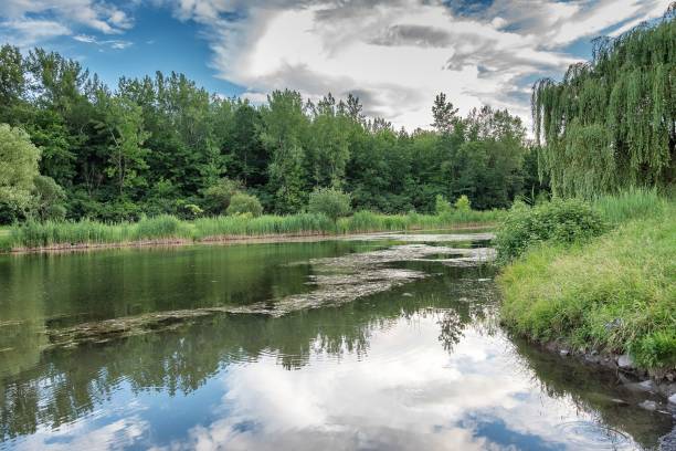 istock Beautiful view of a lake surrounded by trees 1463696425