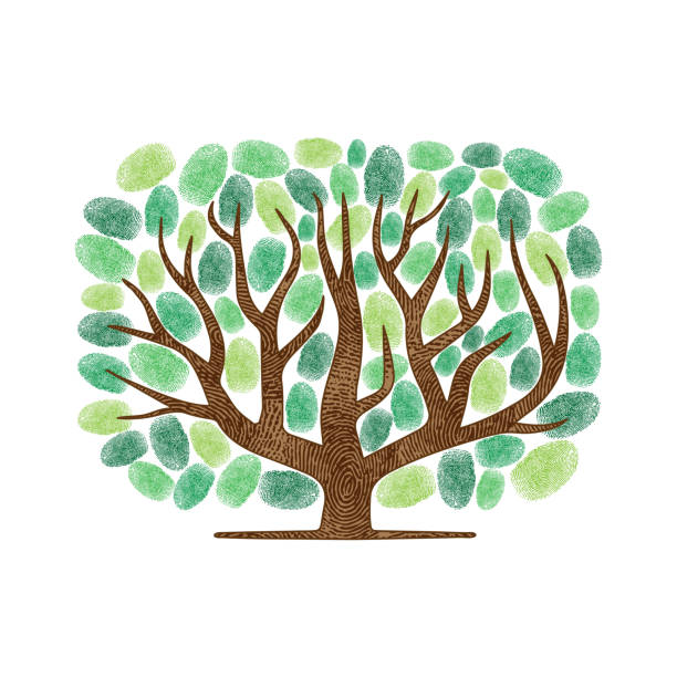 ilustraciones, imágenes clip art, dibujos animados e iconos de stock de huellas dactilares abstractas siluetas de árbol cuadrado - genealogical