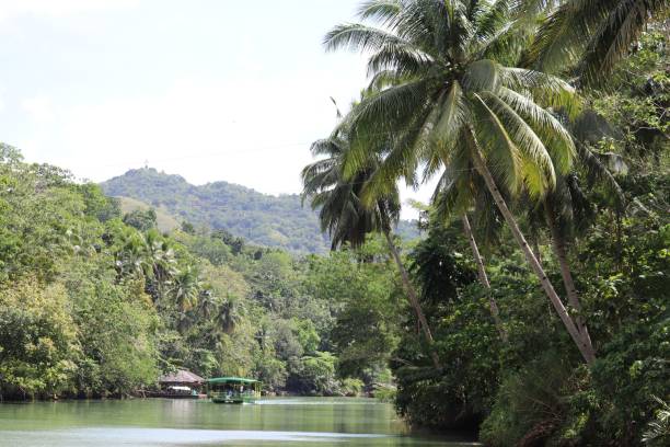 istock View of green water lake surrounded by palm trees. 1463700105