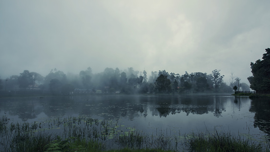 Lake covered with fog during the morning time with trees and plants around it. Kodaikanal lake torist spot