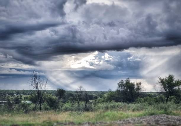 istock Beautiful view of a cloudy sky over the trees. 1463701850