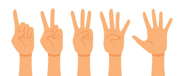 ilustrações, clipart, desenhos animados e ícones de contando mãos de uma a cinco ilustrações de conjuntos vetoriais - hand sign human hand sign language three fingers