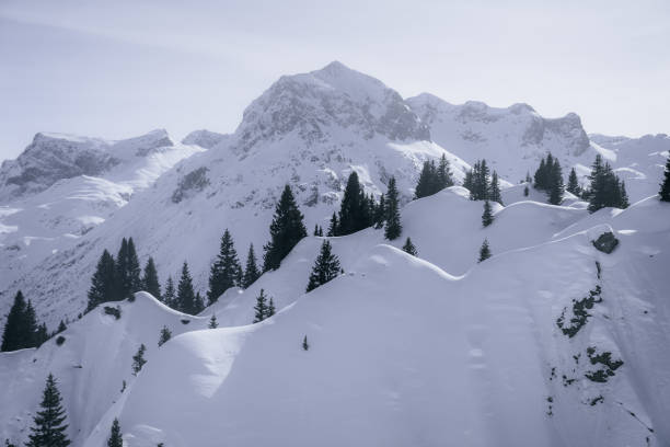 Scenic mountain landscape in winter
