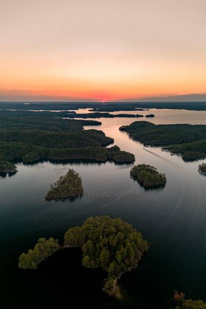 istock Aerial view of lake surrounded by dense trees 1463714444