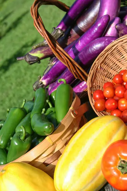 A natural view of fresh vegetables on the woven basket and on the wooden surface harvested in a farm
