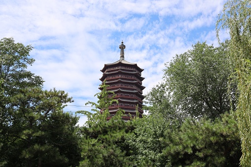 Beijing, China – November 01, 2022: The Museum of Chinese gardens in Beijing, China