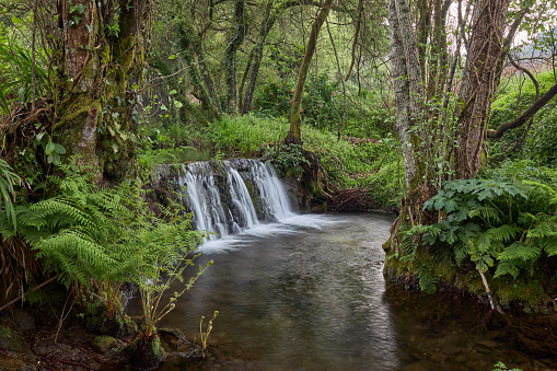 istock Beautiful shot of small waterfalls through mossy rocks in Galicia, Spain 1463719711