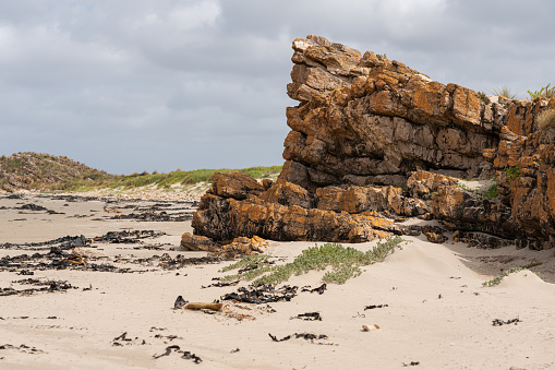 The rocks aged up to 1.5 billion years on the Takayna Tarkine Coast, Tasmania, Australia.