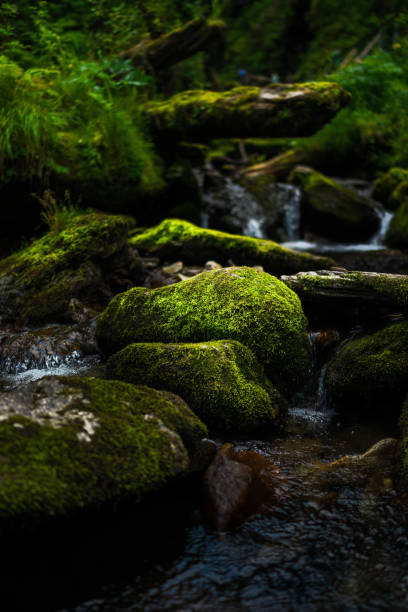 Pure natural waterfall and rocks covered with moss in Altai, Russia