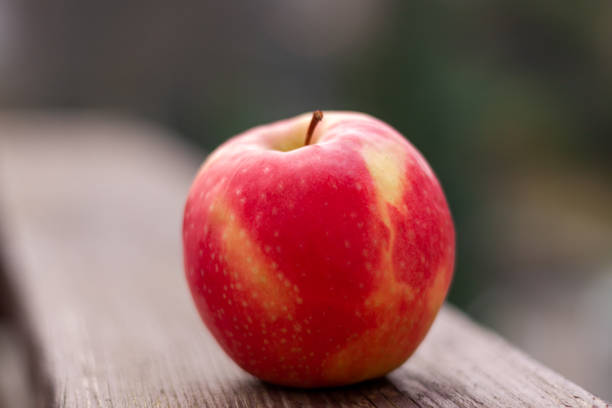 istock Red ripe apple on a wooden railing 1463735984