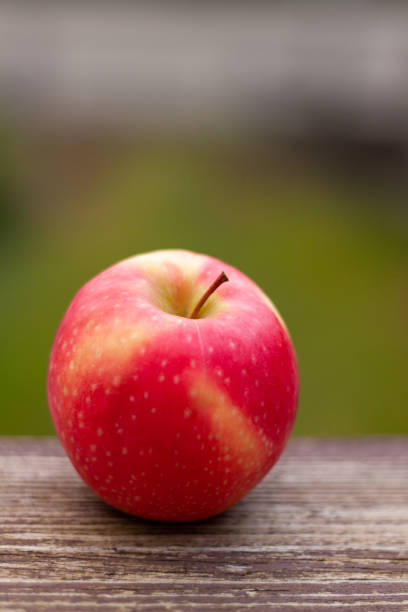 istock Red ripe apple on a wooden railing 1463735996