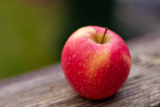 istock Red ripe apple on a wooden railing 1463736014