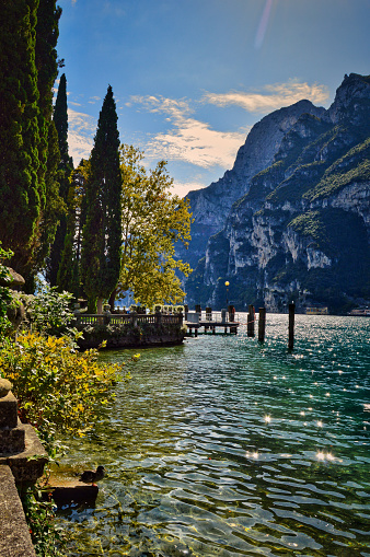 landscape photo of town Riva del Garda - promenade, park, lake, blue water, branches, trees, cliff, sunshine