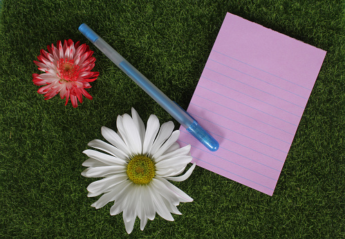 A top view of African daisies, a pink paper and a pen on green grass