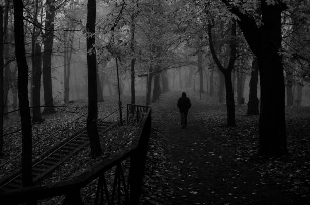 istock walk in a foggy park 1463754680