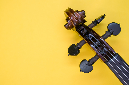 A pegbox of a violin on a yellow background with a copy space