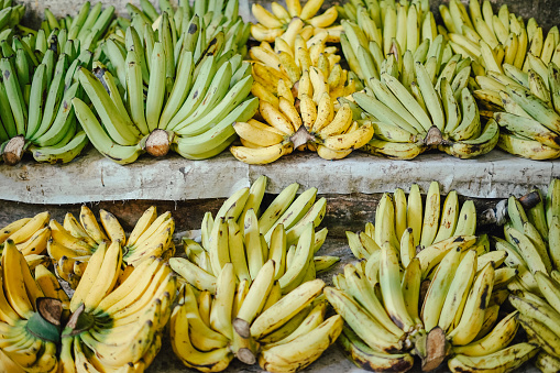 Close-up Many banana fruits on market in street food thailand