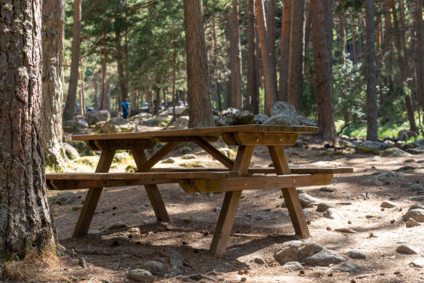 istock Wooden table with bench in the forest 1463759462