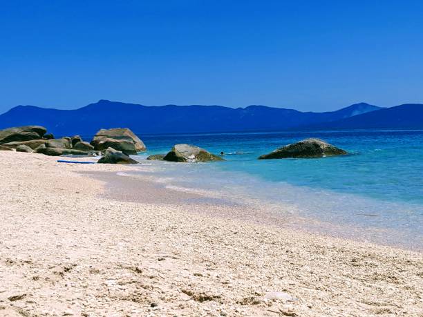 istock Peaceful landscape of a sand beach 1463760890