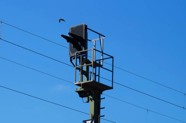 istock Colour light signal at a railway line 1463761067