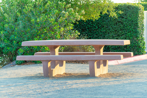 A narrow wooden table with long benches in a park surrounded by lush green trees on a sunny day