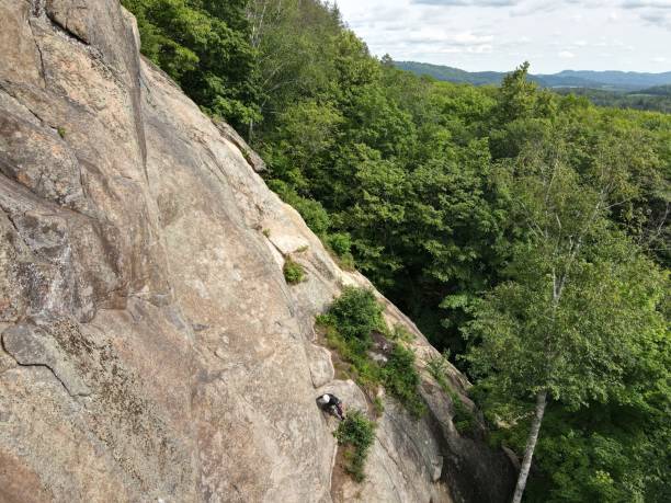 istock Rocky Silver Mountain covered with green trees in Quebec, Canada 1463765742