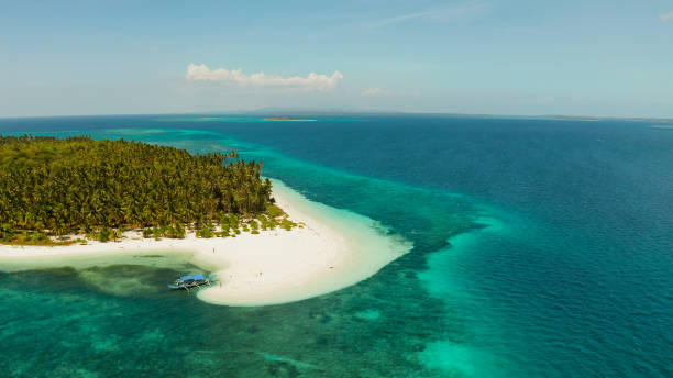 istock Tropical island with sandy beach. Balabac, Palawan, Philippines. 1463767125