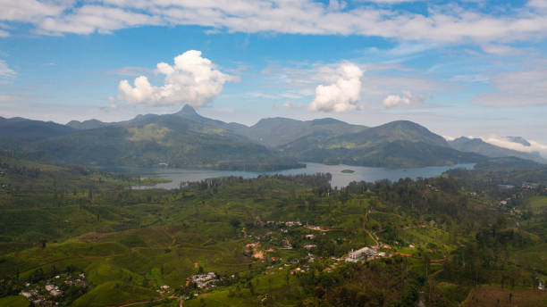 istock Tea plantations in the mountains. Sri Lanka. 1463767880