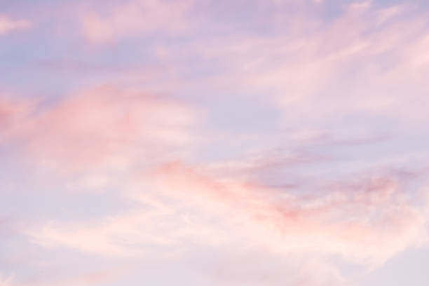 istock Blue sky background with white and pink clouds at sunset 1463768785