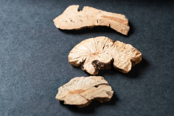 istock chinese medicine wild buckwheat root on black background 1463769500