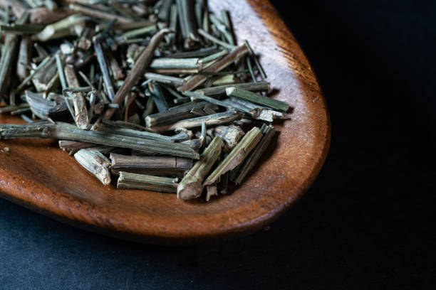 istock chinese medicine Herba Andrographitis on black background 1463769520